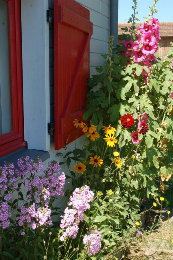 B&B La Maison Des Collines Autour Chambres D'Hotes La Chapelle  Exterior photo